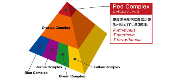 歯周病最近検査（PCR法）